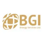 BGI Energy Services Limited company logo