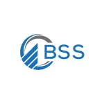 BSS Consulting Limited company logo