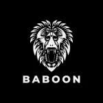 Babaonigba.com company logo