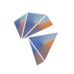 Blache Inc company logo