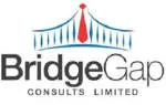 Bridgegap Consults Limited company logo