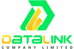 Datalinks Limited company logo