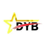 Dyb Africa company logo