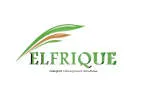 Elfrique Ltd company logo