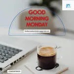 Ferdie Marie Solutions company logo