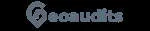GEOAUDITS company logo