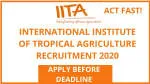 International Institute of Tropical... company logo