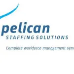 Pelican Staffing Solutions Nigeria company logo