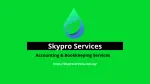 SKYPRO PROFESSIONAL SERVICES company logo