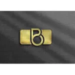 Sherry Blinks Studio company logo