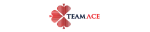 Teamace company logo