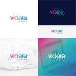VIDERE CONCEPT company logo