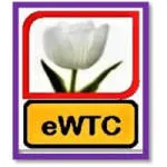 White Tulip Consulting Limited company logo