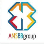 AMSBridgeblue Nigeria company logo