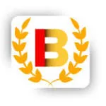 BIBUAIN UNIQUE MULTIPURPOSE SERVICES LTD company logo