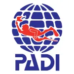 BRAND PADDI company logo