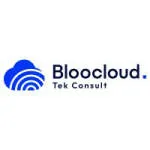 Bloo Cloud Tek Consult company logo