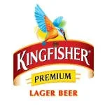 Boston Kingfisher company logo