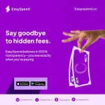 EasySpend.cc company logo