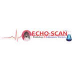 Echo-Scan Services Limited company logo