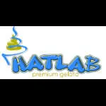 Hatlab Ice Cream Delite Limited company logo