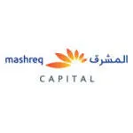 Masruq investment Limited company logo