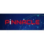 Pinnacle Digital Services Limited company logo