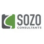 Suzo Consulting company logo