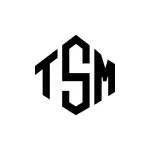 TSM House company logo