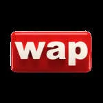 Wale Adenuga Productions company logo