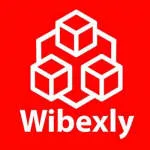Wibexly company logo