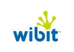 Wibit Consulting & Services (WibitCS) company logo