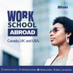 Bitsin Travels and Tours company logo