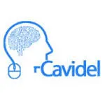 CAVIDEL LIMITED company logo
