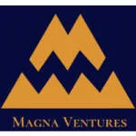 Magna Spring Ventures (MSV) company logo