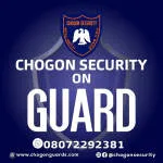 Pacilantic Security and Guards Limited Ajah, Lekki... company logo