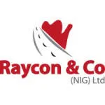 Raycon Construction Co Nigeria Ltd company logo