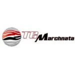 TGM Education is an international agency that... company logo