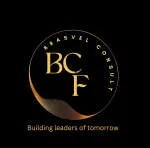 Brasvel Consult company logo