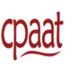 CPAAT CONSULTING company logo