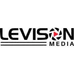 Levison Nigeria Limited company logo