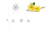 Plumeria Fragrance Limited company logo