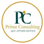 Prime56 Consulting LTD company logo