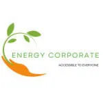 Rayonnance Energy FZE company logo