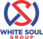 White Soul Group company logo