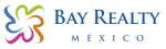 BAAY REALTY company logo