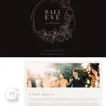 BLV Enterprise company logo