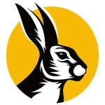 BOLD RABBIT LIMITED company logo
