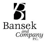Bansek Nigeria Enterprises company logo