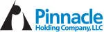 Boing Pinnacle Limited company logo